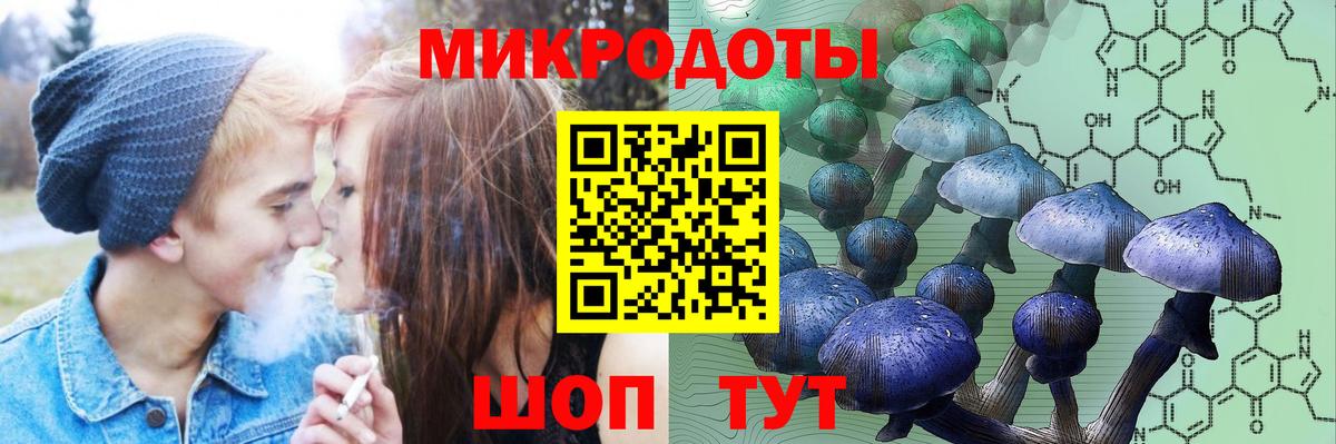 Псилоцибиновые грибы Cubensis Южноуральск